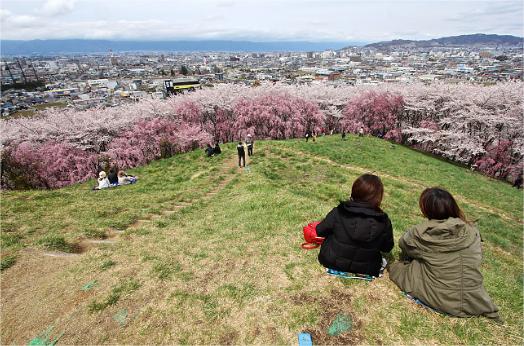 Koboyama Park